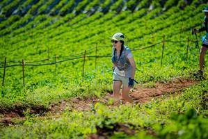 BIB: 100
                            <button type="button" onclick="openModal(19162035)" class="btn btn-primary btn-sm float-right btn-popup" data-toggle="modal" data-target=".modal-high-quality">
                        <i class="fas fa-shopping-cart"></i> Add to Cart
                    </button>
                                            <button type="button" onclick="isThisMe(19162035, true)" class="btn btn-success btn-sm float-right btn-popup btn-isme hidden" data-toggle="tooltip" data-placement="bottom" title="นี่คือรูปของคุณใช่ไหม คลิกที่นี่เพื่อเอาเข้าอัลบั้ม">
                        <i class="fas fa-plus"></i> Add to album
                    </button>
                    <button type="button" onclick="isThisMe(19162035, false)" class="btn btn-warning btn-sm float-right btn-popup btn-isnotme hidden">
                        <i class="fas fa-ban"></i> Remove from album
                    </button>